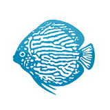 Aquarium Glaser GmbH icon