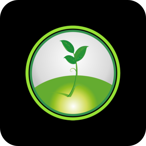 IBaViN - Ig. Batista Vida Nova logo