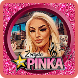 Pogodi zvezdu Pinka icon