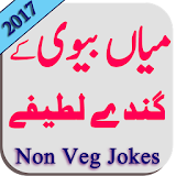 Desi Jokes ( Husband and Wife ) icon