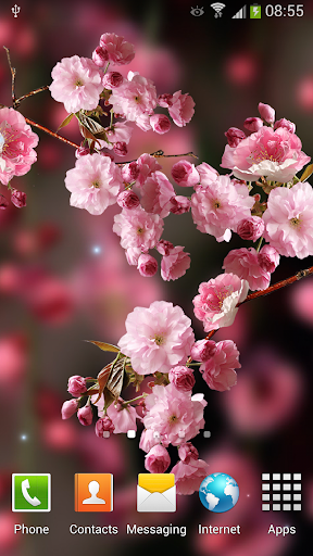 Android application Sakura Live Wallpaper screenshort
