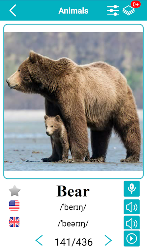 Android application English Animals Vocabulary screenshort