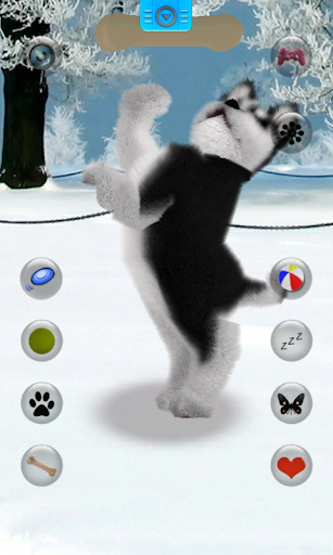 Talking Siberian Husky Screen 2