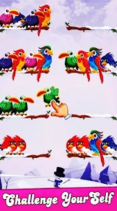 Bird Sorting - Puzzle Game