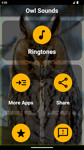 Android application Owl Ringtones screenshort