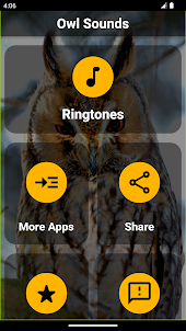 Owl Ringtones