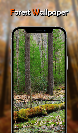 Android application Forest Wallpaper HD screenshort