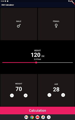 Simple Bmi Calculator Screen 3