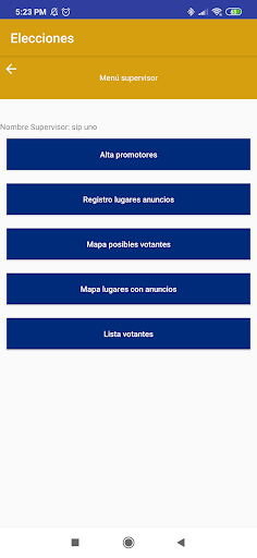 Elecciones Screen 2