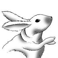 How to Draw Rabbits