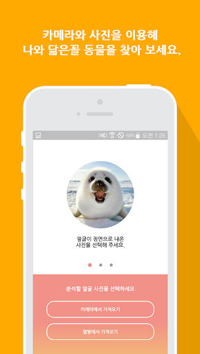 나와 닮은꼴 동물 찾기