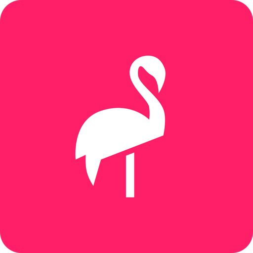 Flamingo Scooters AR3.5.2425 Icon