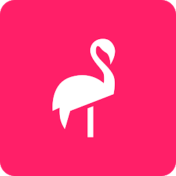 Flamingo Scooters: Download & Review