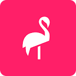 Flamingo Scooters Apk