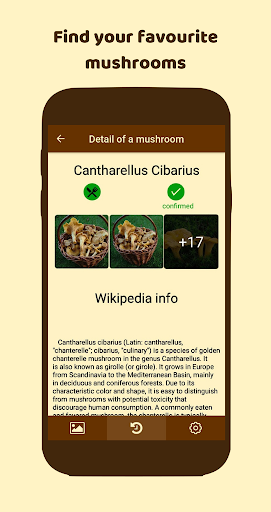 Fungus - Identification of fun Screen 2