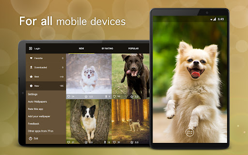 Screenshot of Dog Wallpapers & Puppy 4K