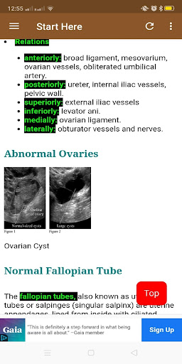 Ultrasound Pocket Dictionary