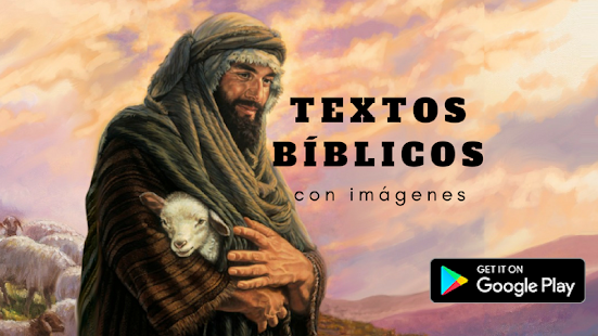 Vista previa de la aplicación