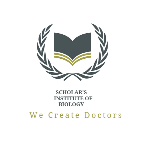 Smart Tutor logo
