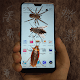 bug prank on screen