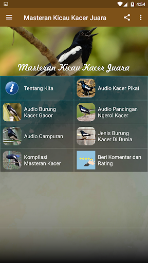 Masteran Kicau Kacer Juara Screen 3