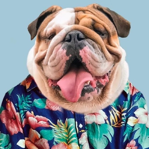 English Bulldog logo