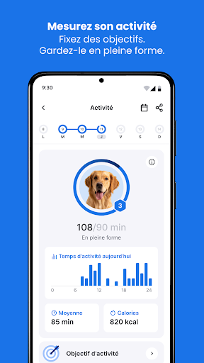 Aperçu de l'application