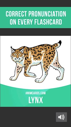 Animals Cards: Learn Animals iのおすすめ画像3