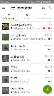 iNaturalist Screenshot