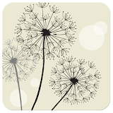 Launcher 8 theme:Dandelions icon