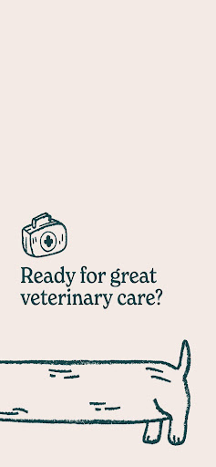 Sploot Vets Screen 2