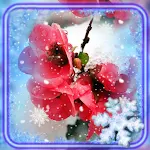 Cover Image of Скачать Snow n Flowers Wallpaper  APK