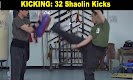 screenshot of Shaolin Kung Fu