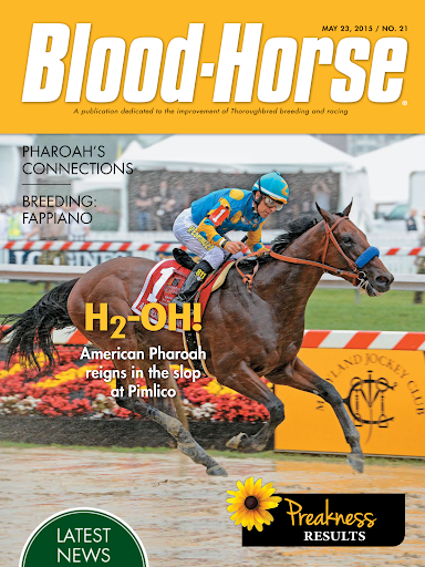 BloodHorse Magazine Screen 3