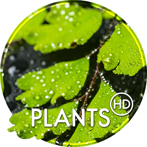 Plants wallpapers for phone  Icon