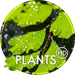 Icon image Plants wallpapers for phone