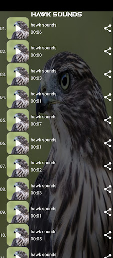 hawk sounds Screen 2