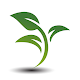 Şifalı Bitkiler ve Hastalıklara Bitkisel Çözümler دانلود در ویندوز