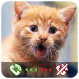 Cat Call (Prank) icon