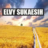 Elvy Sukaesih Dangdut icon