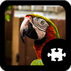 Parrot Jigsaw Puzzle