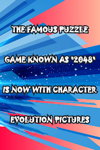 2048 D Evolution