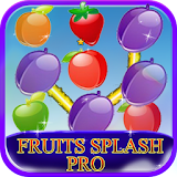 Fruits Splash Pro icon