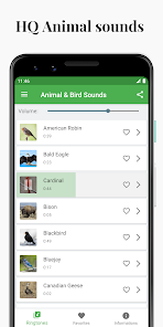 Bird and Animal sounds  screenshots 1