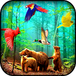 Cover Image of Télécharger Forest Birds Live Wallpaper 1.01 APK
