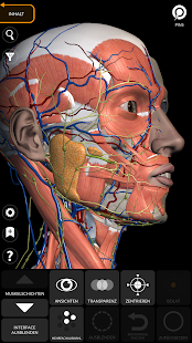 Anatomie - 3D Atlas Screenshot