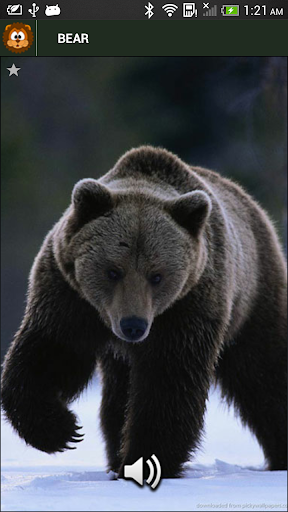 Android application Animal Sounds screenshort