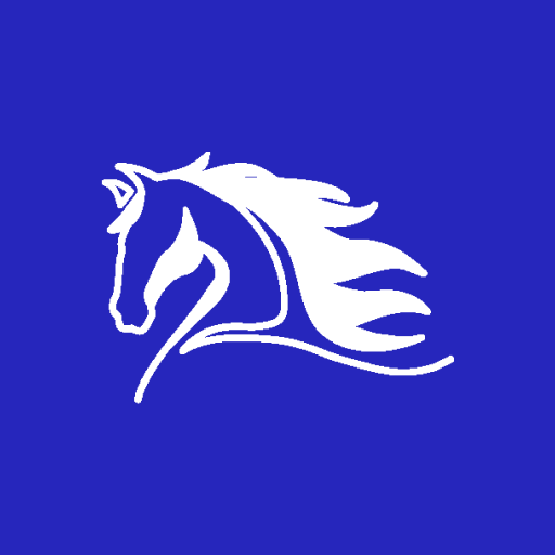 South Lemhi #292 logo