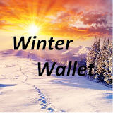 Winter Wallet icon