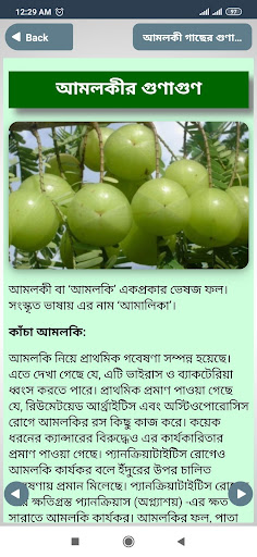 ভেষজ উদ্ভিদ হারবাল চিকিৎসা Oushodhi Gacher Gunagun